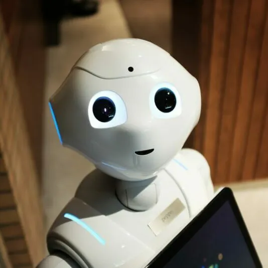 Quels sont « les signaux » du Machine Learning pour optimiser vos enchères sur Google Ads ?