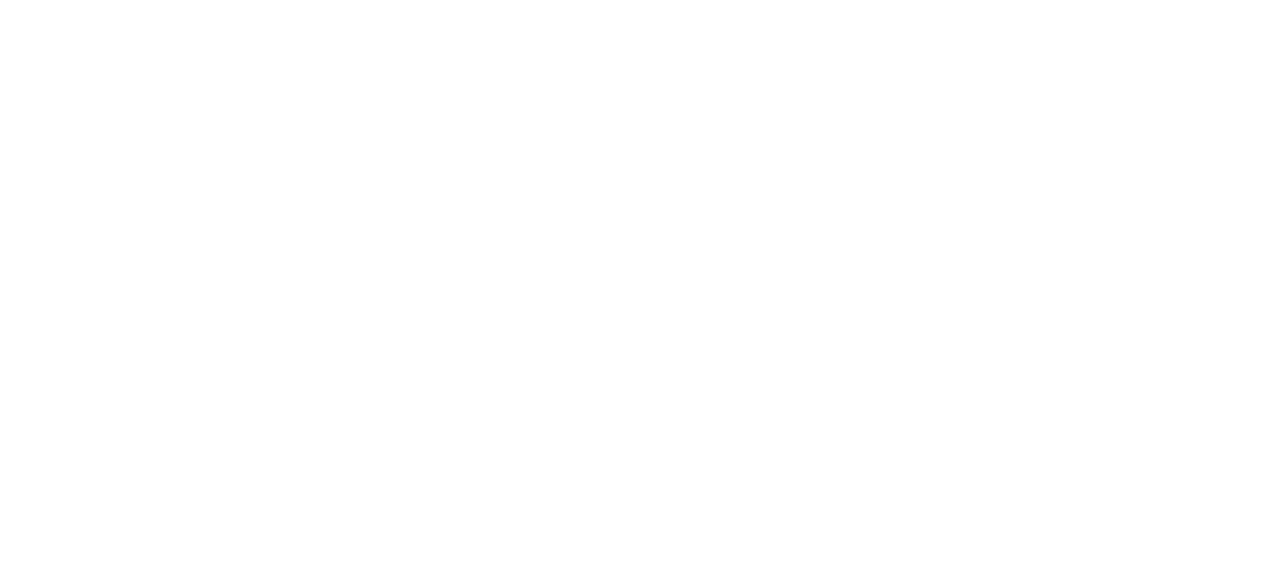 fizzer